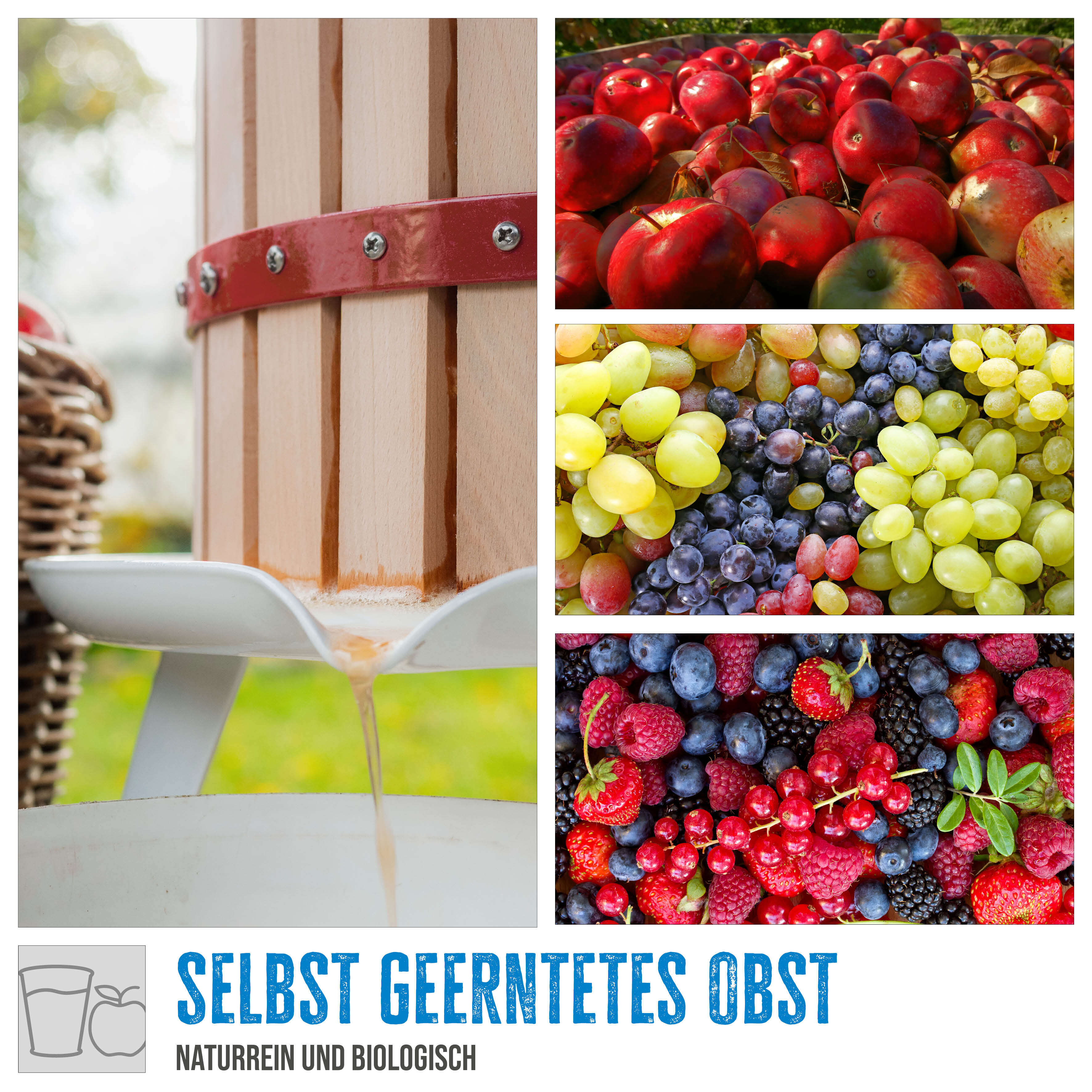 Güde Obstpresse OP 6 6 Liter