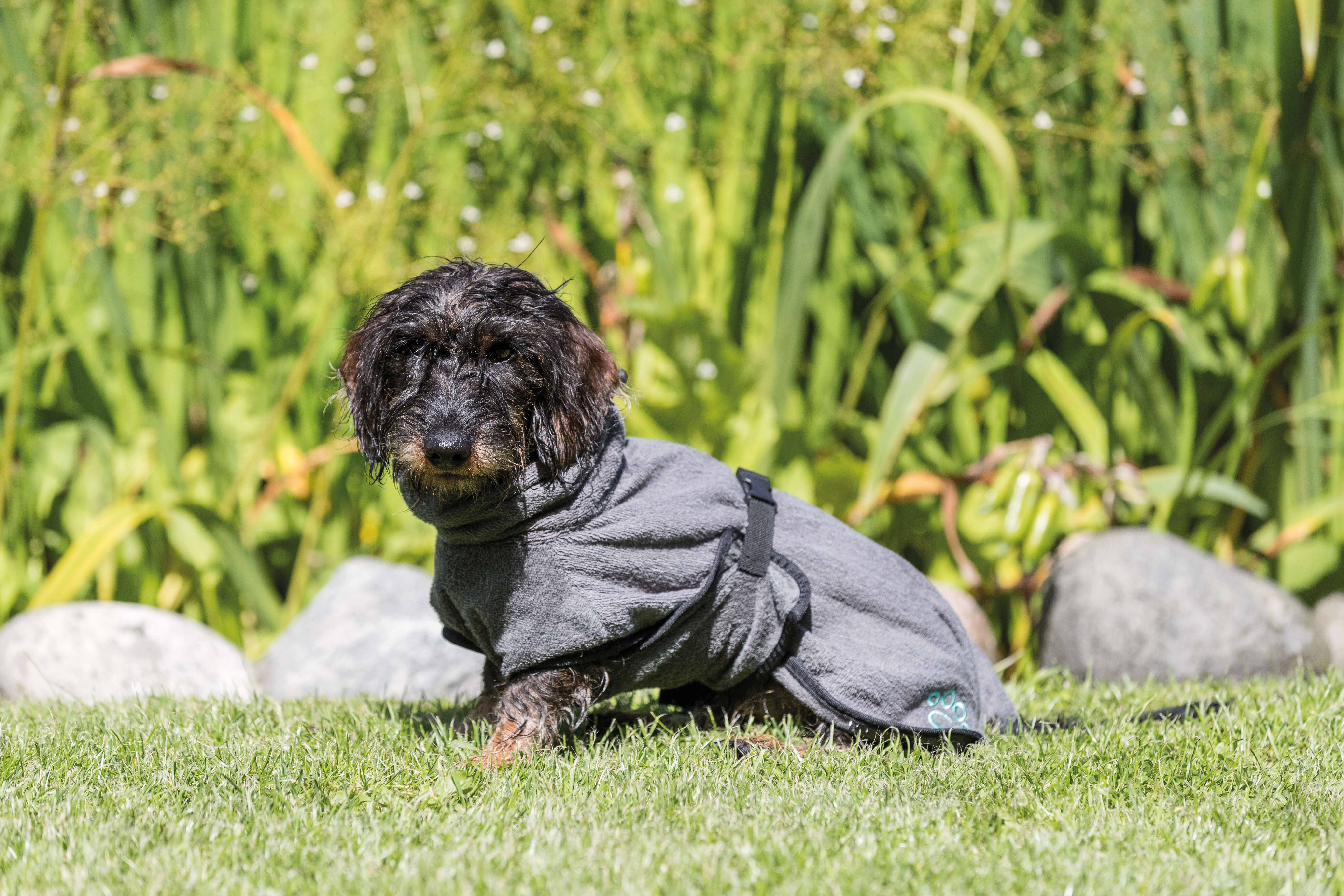 TRIXIE Hunde-Bademantel Frottee