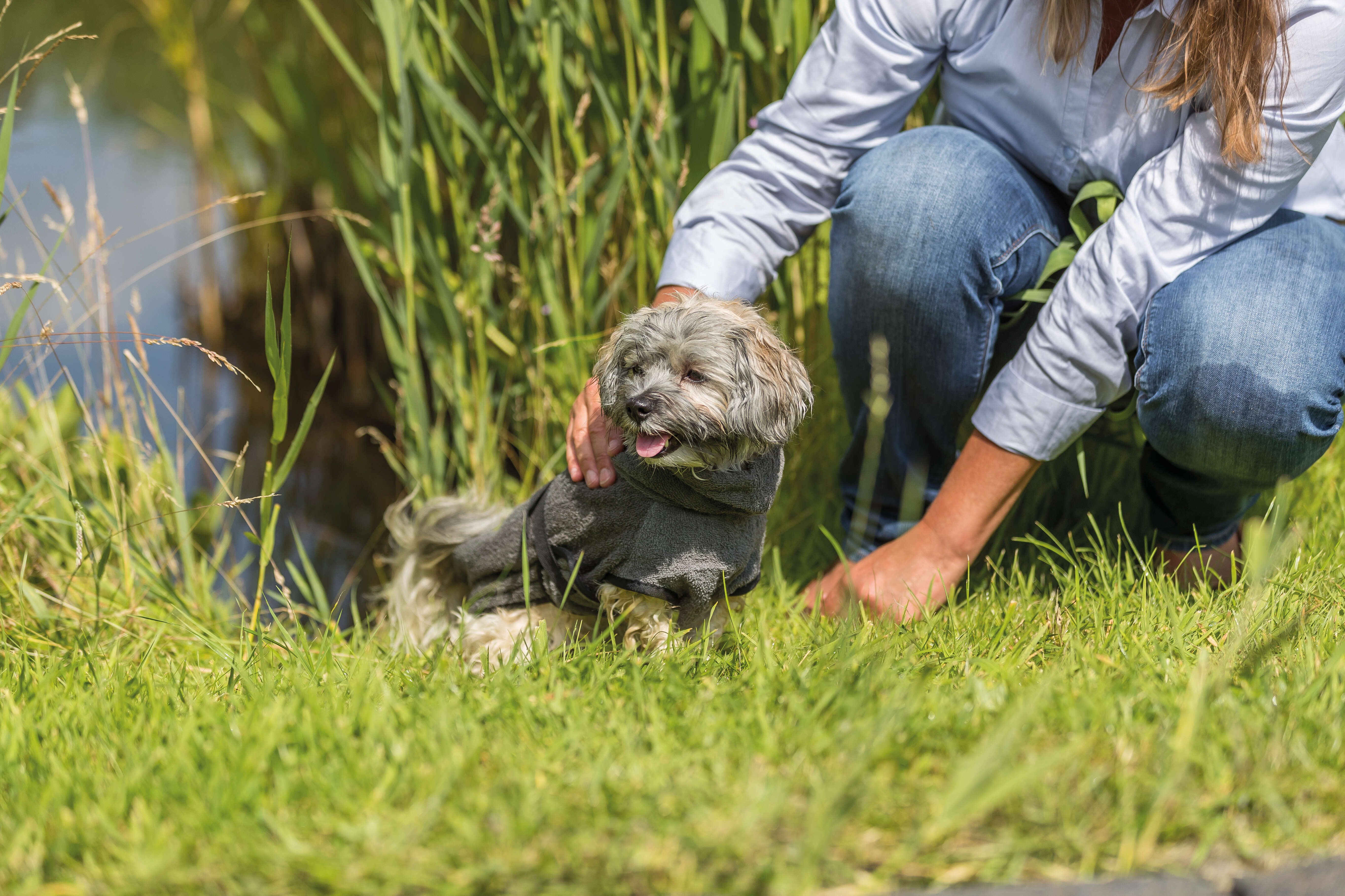 TRIXIE Hunde-Bademantel Frottee
