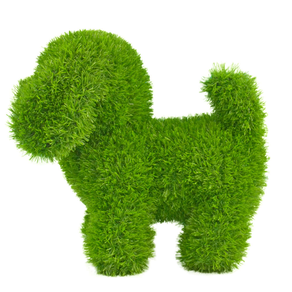 ANIPLANTS Grasfigur Hund