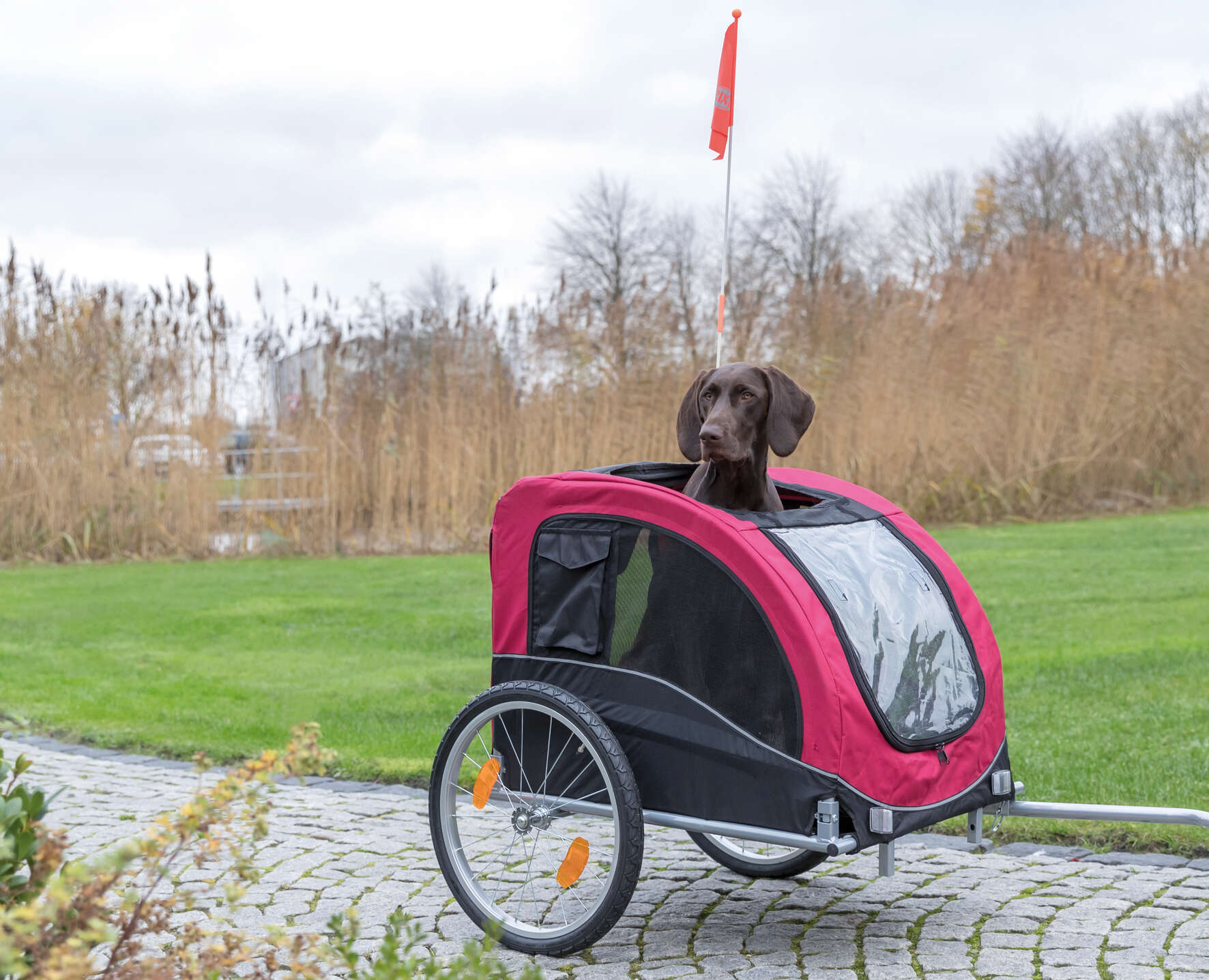 TRIXIE Fahrrad-Anhänger für Hunde