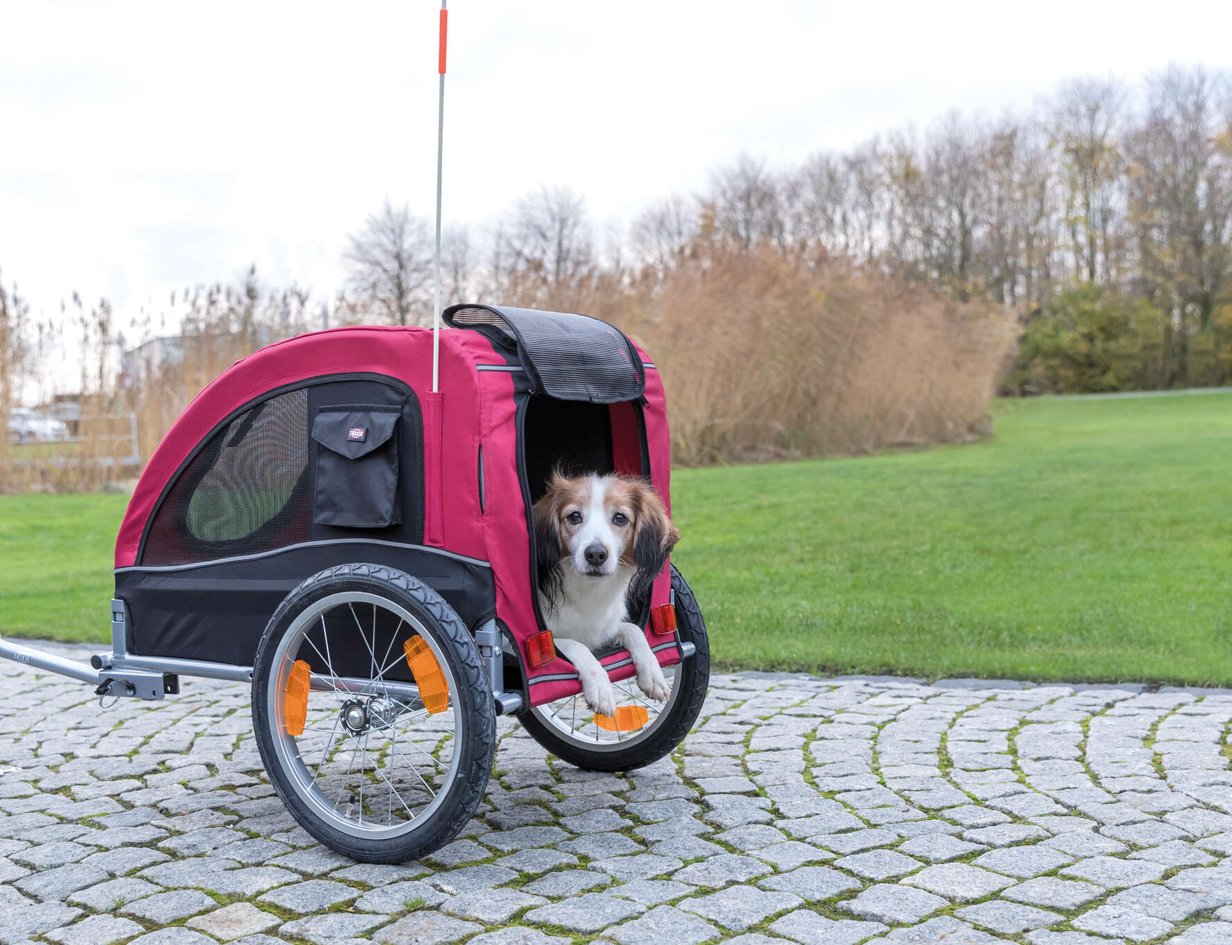 TRIXIE Fahrrad-Anhänger für Hunde