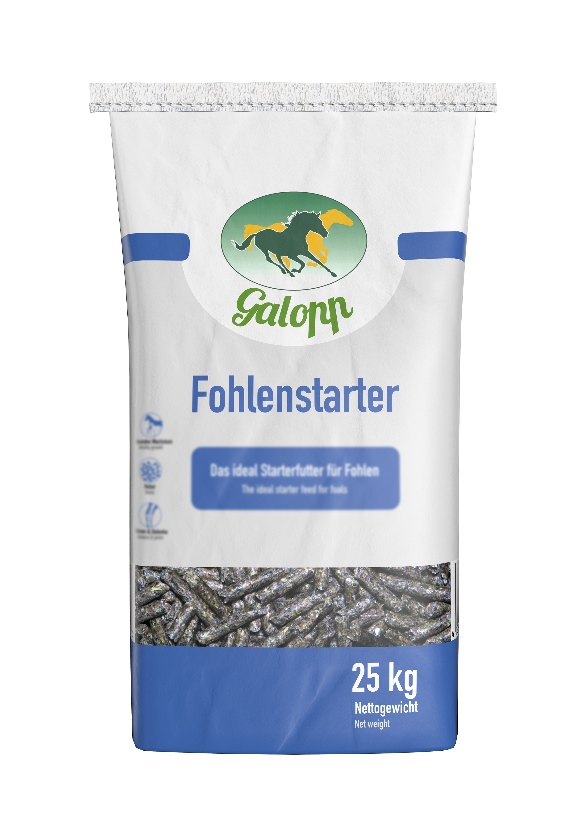 Galopp Fohlenstarter FS