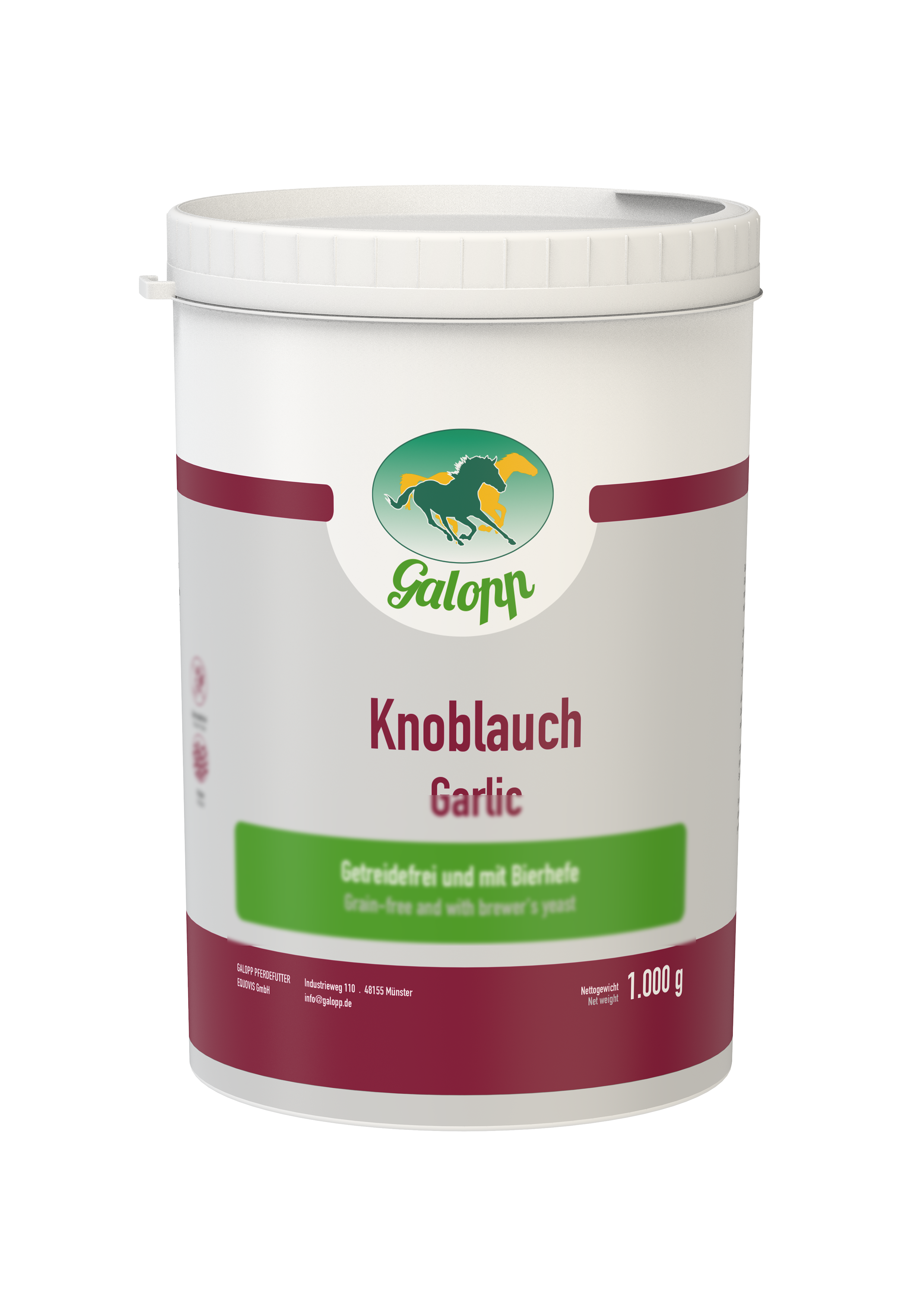 Galopp Knoblauch
