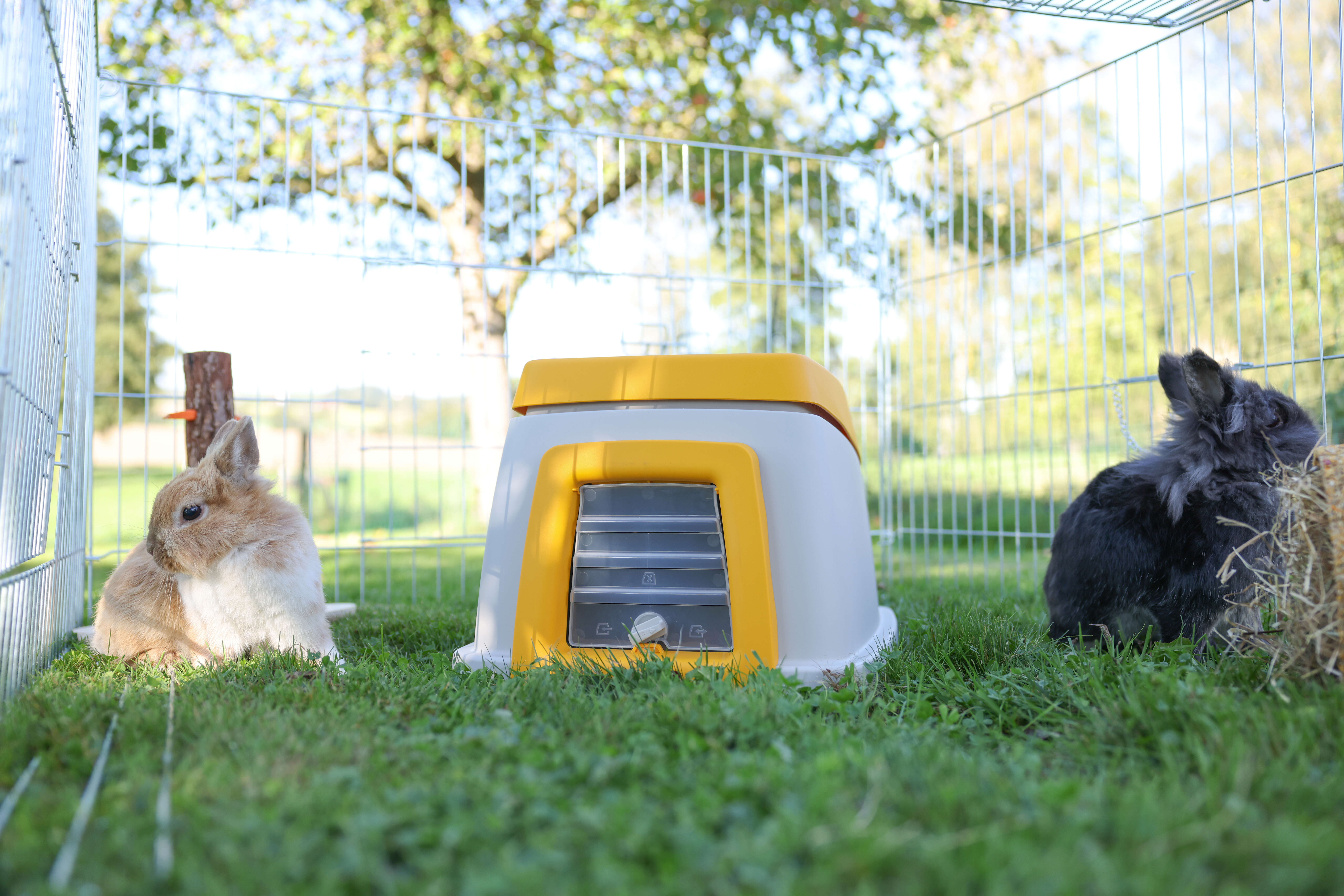 KERBL Kaninchenbau Bunny Base Komplettset