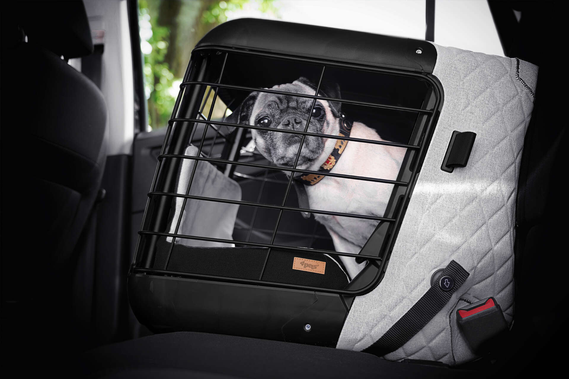 4pets Hunde-Transportbox Caree