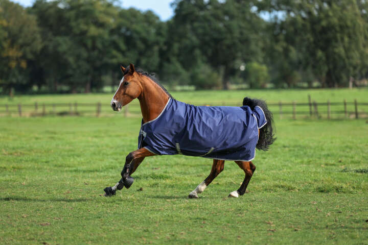 Couverture D'hiver Bucas Freedom 150g Pour Cheval - Chaude Et Imperméable !