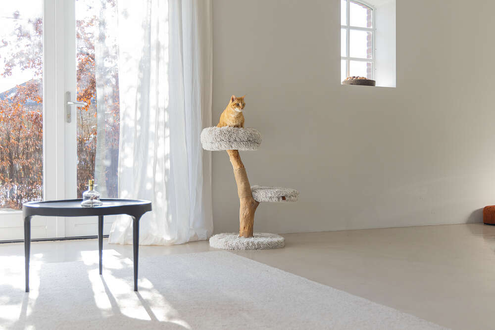 Designed by Lotte Kratzbaum Zora