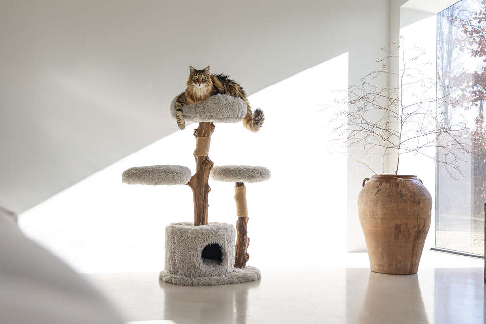 Designed by Lotte Kratzbaum Ziza