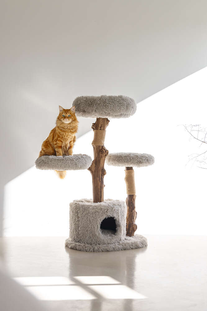 Designed by Lotte Kratzbaum Ziza