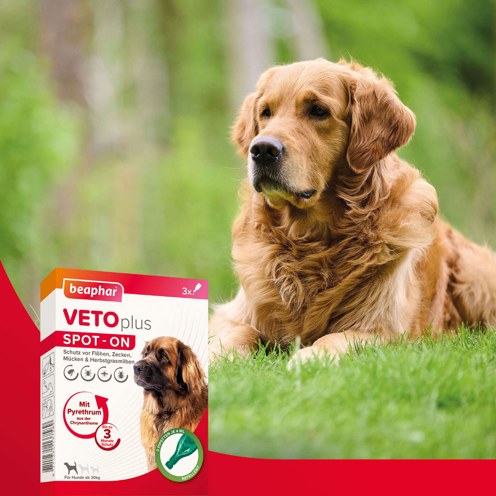 beaphar VETOplus SPOT-ON für große Hunde ab 30 kg