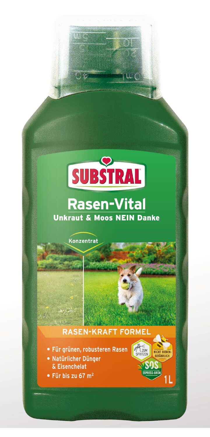 Moosvernichter Rasen Substral® HandyGreen Handstreuer Für