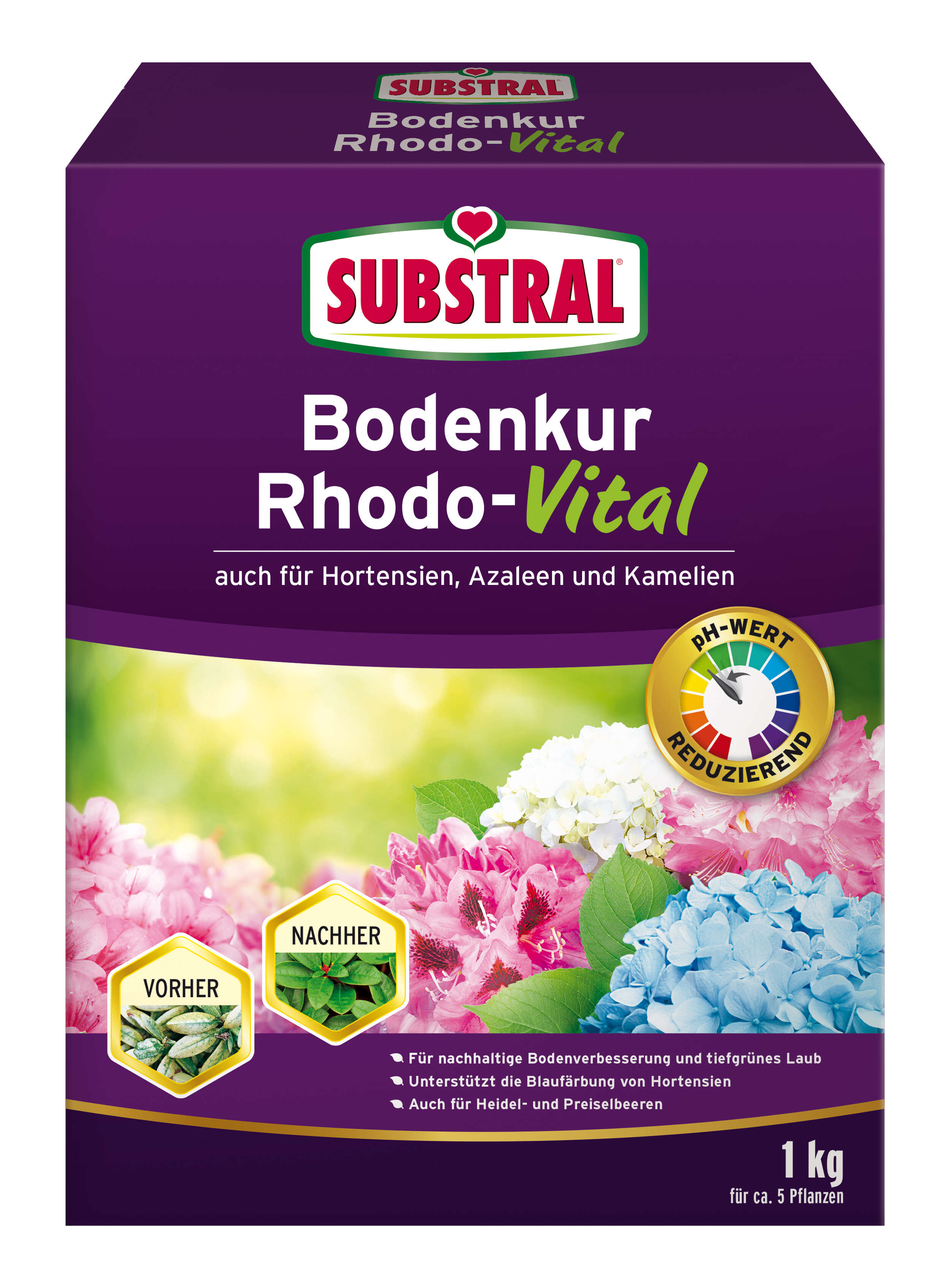 SUBSTRAL Bodenkur Rhodo-Vital