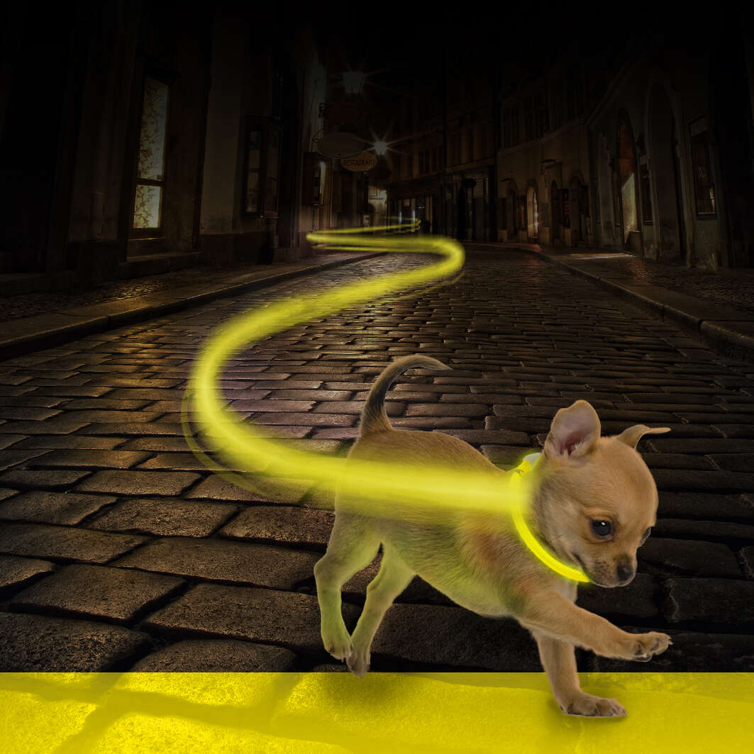 DUVO+ Hunde-Halsband Nylon Flash