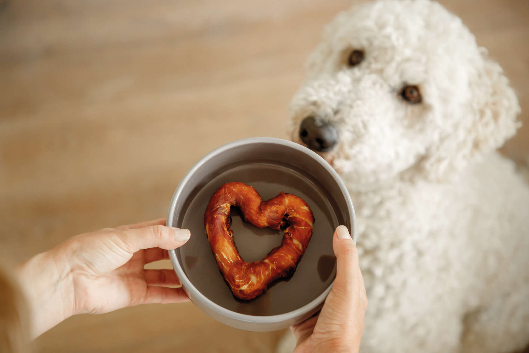 TRIXIE Keramiknapf mit Gummiring