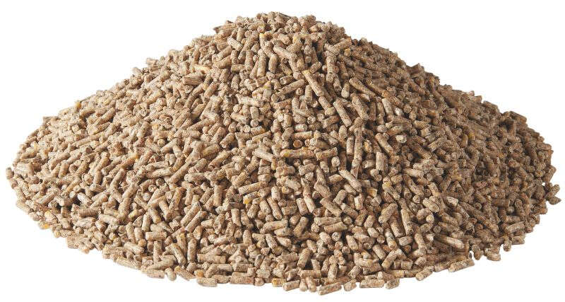 GoldDott LegeKraft