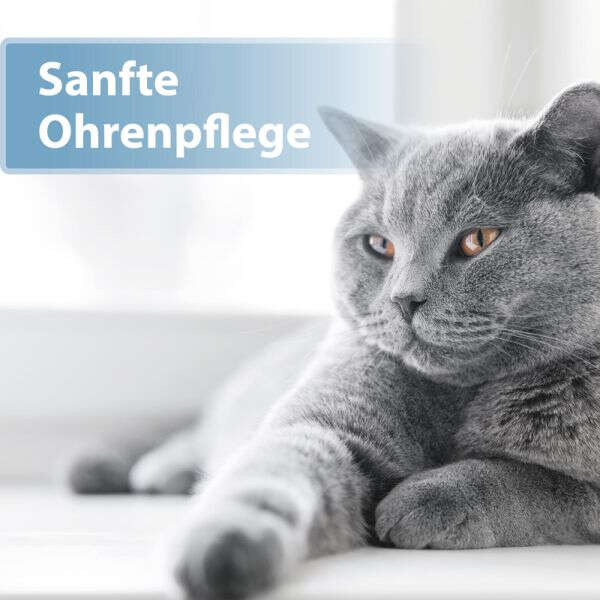 Felisept Katzenohrpflege-Pads