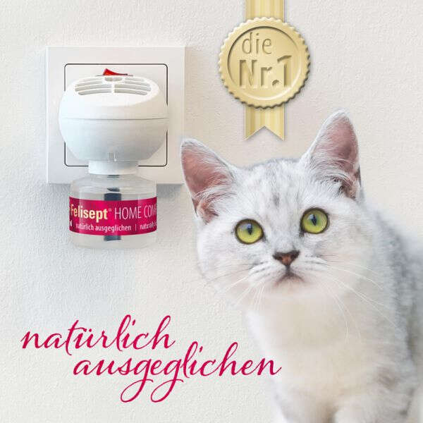 Felisept Home Comfort Diffusor Set für Katzen
