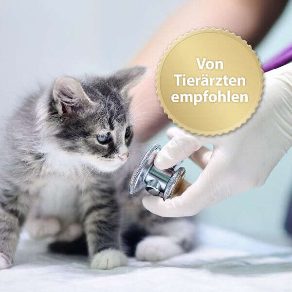 Felisept Home Comfort Diffusor Set für Katzen