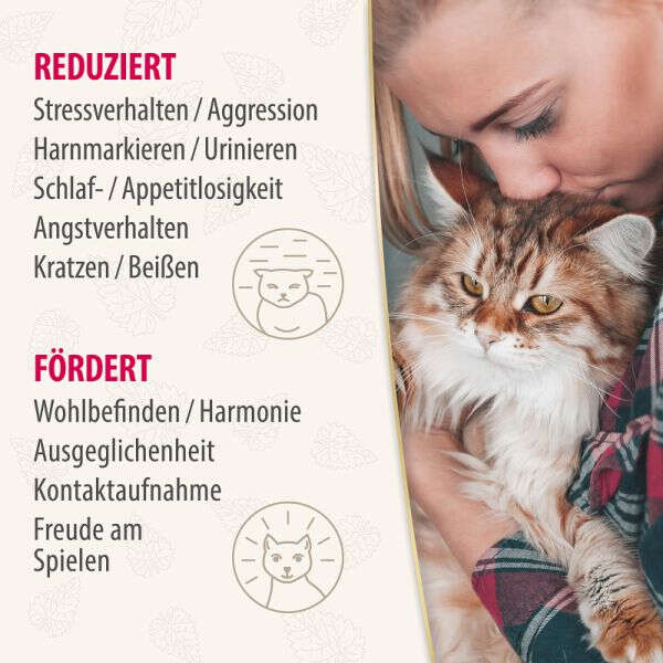 Felisept Home Comfort Diffusor Set für Katzen