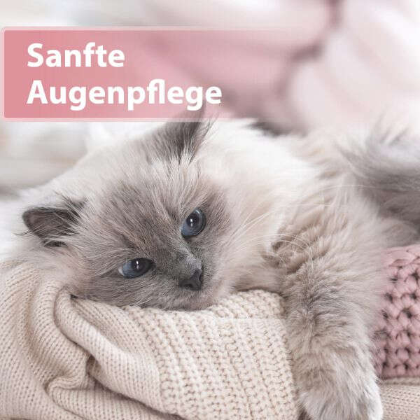Felisept Katzenaugenpflege-Pads