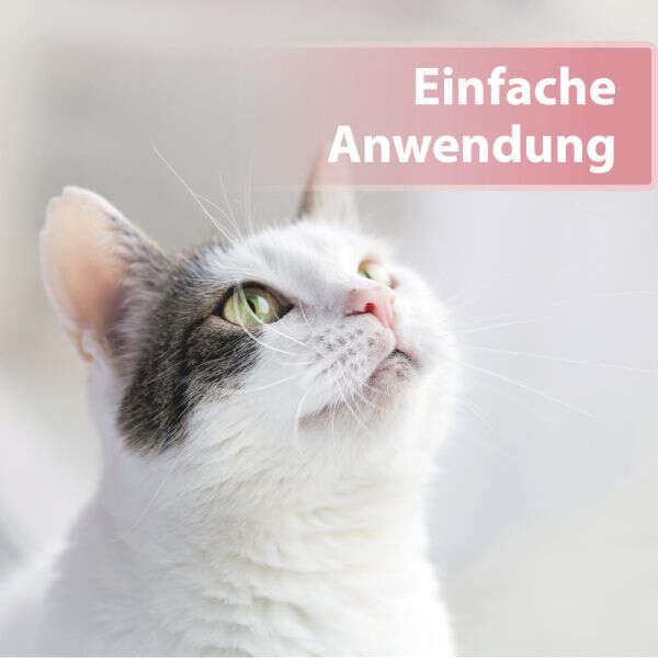 Felisept Katzenaugenpflege-Pads