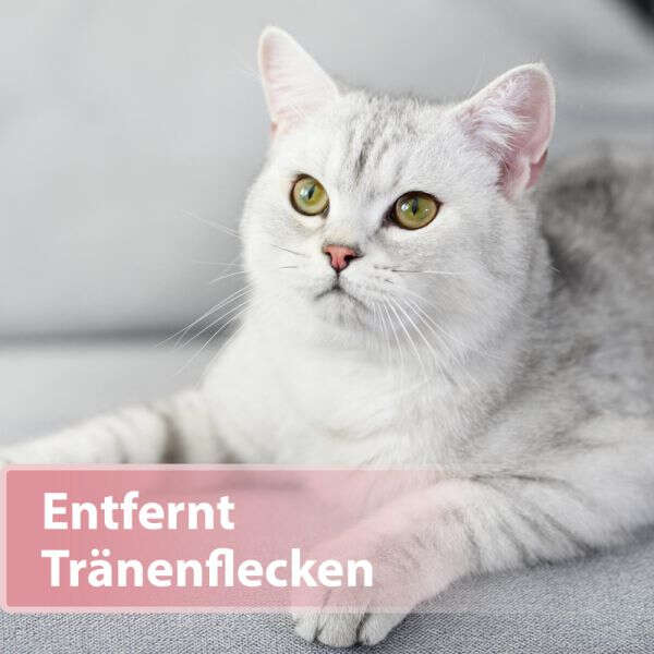 Felisept Katzenaugenpflege-Pads