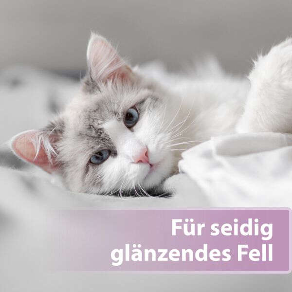 Felisept Fellpflegespray für Katzen
