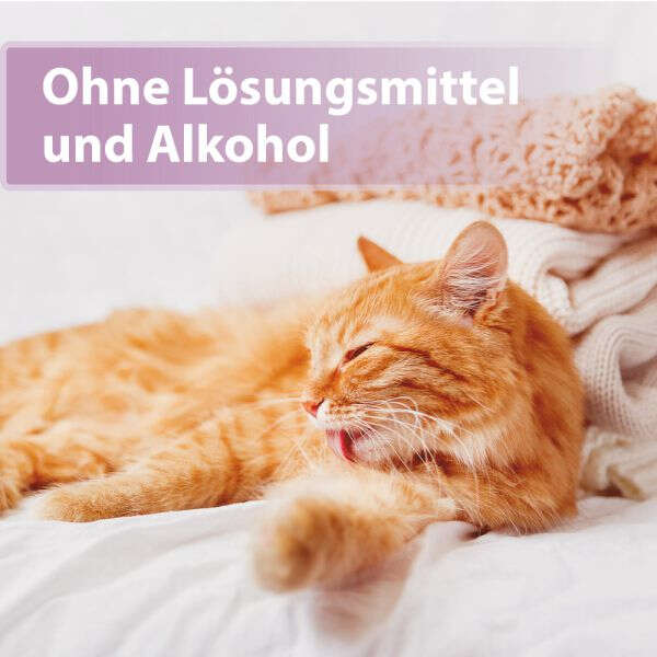 Felisept Fellpflegespray für Katzen
