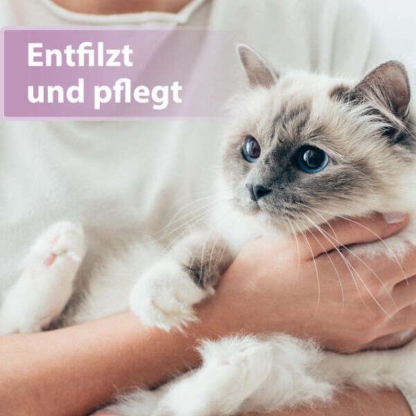 Felisept Fellpflegespray für Katzen
