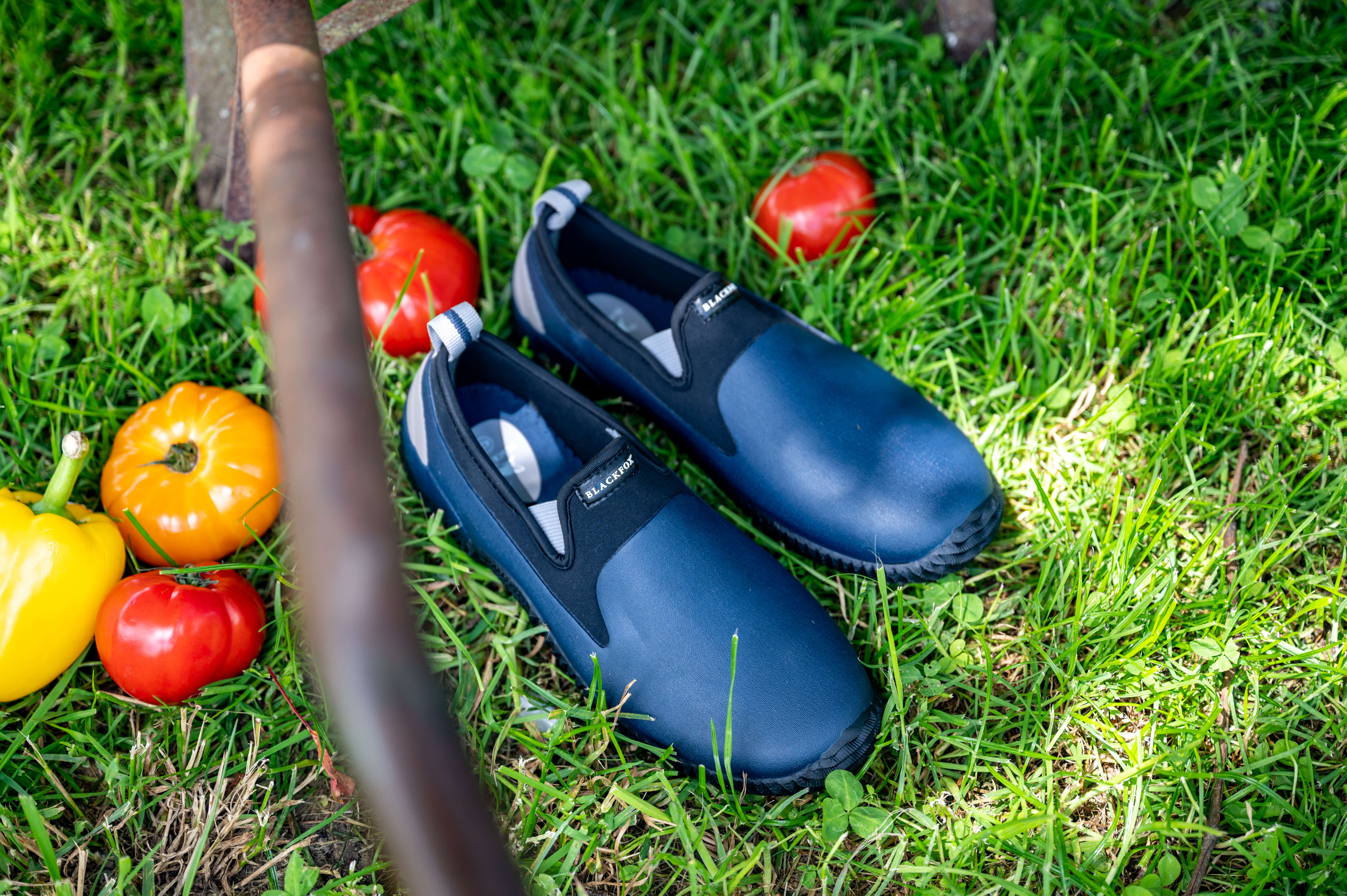 BLACKFOX Schuh Neo