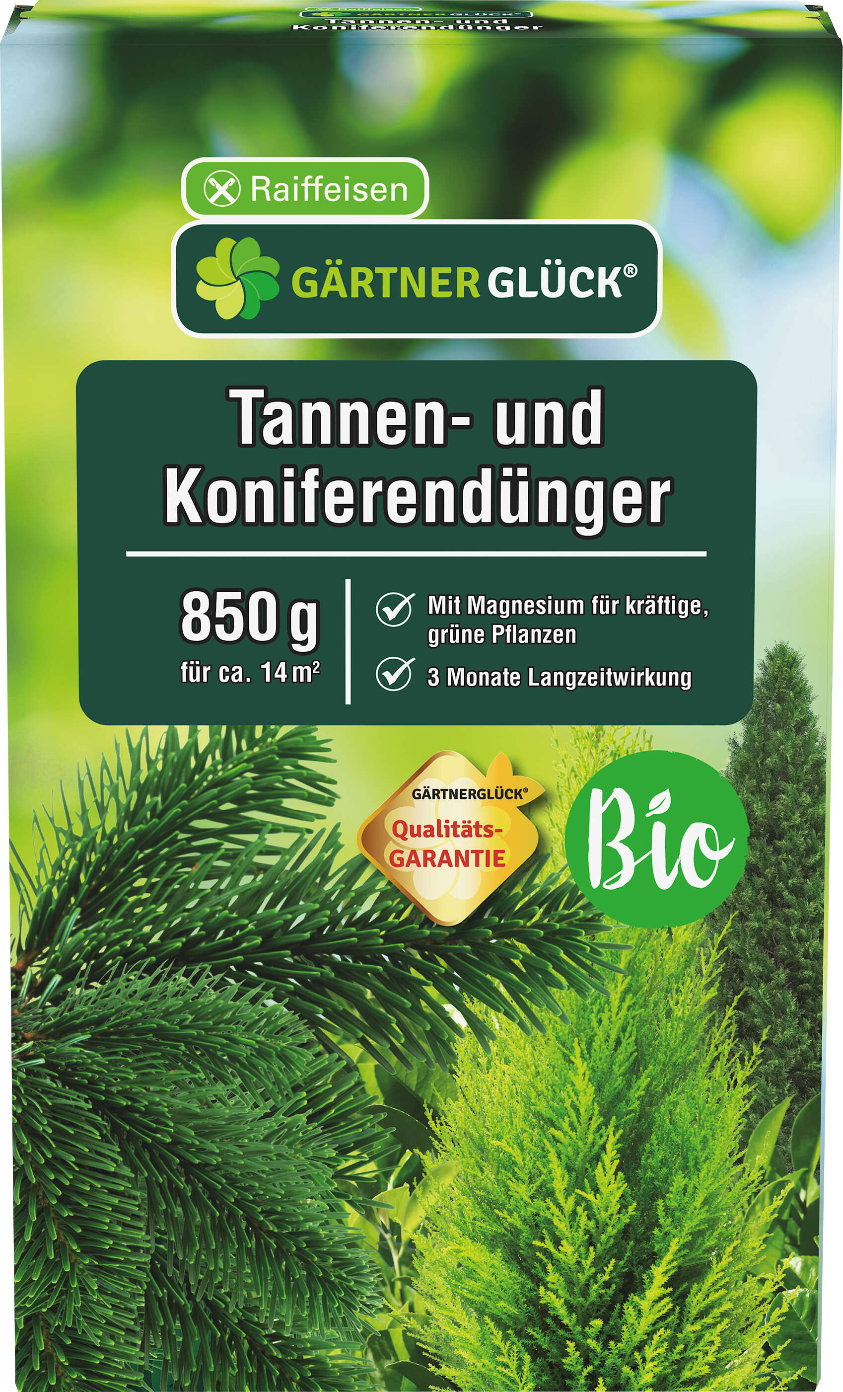 wie viel wasser braucht eine grünlilie Chlorophytum comosum 'Green' main image 1
