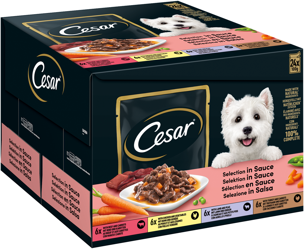 Cesar Hunde-Nassfutter Selektion in Sauce, 4 Varietäten Multipack 24x100 g