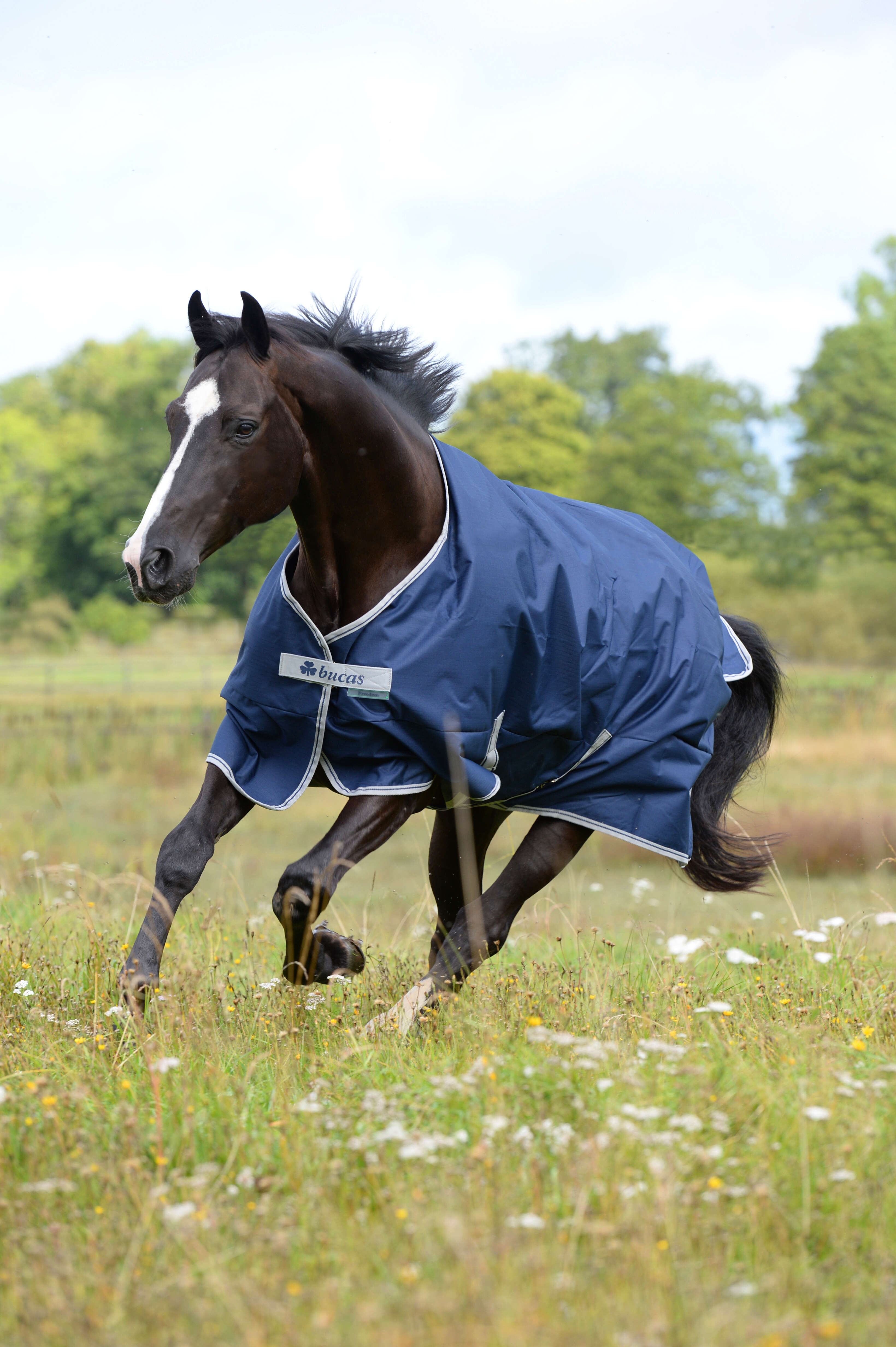 bucas Outdoordecke Freedom Turnout 300 g