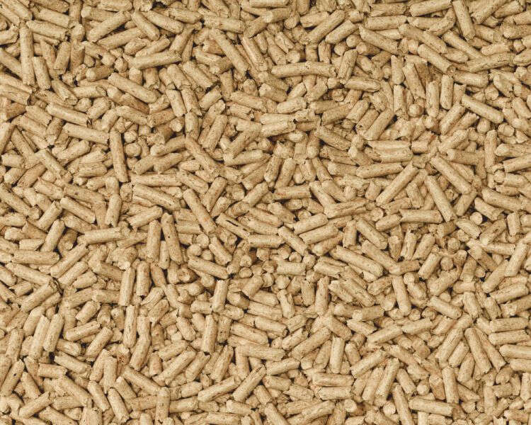 Cat's Best Katzenstreu Smart Pellets