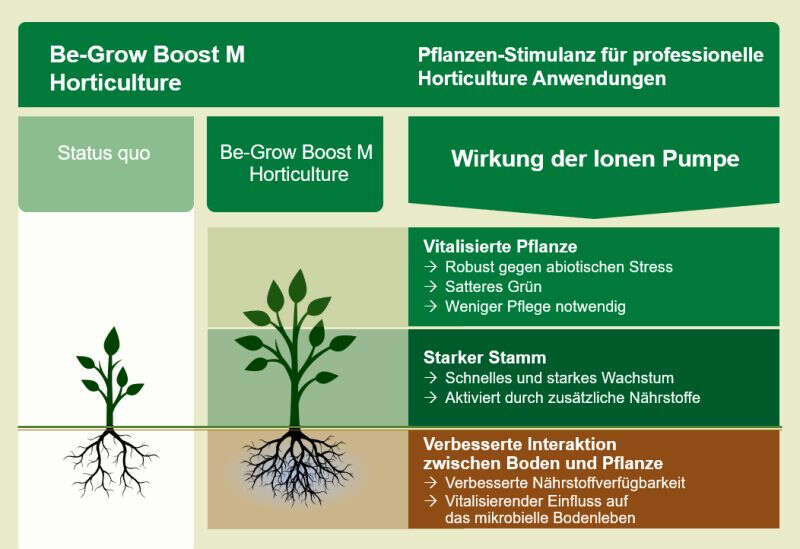 Be-Grow Boost M
