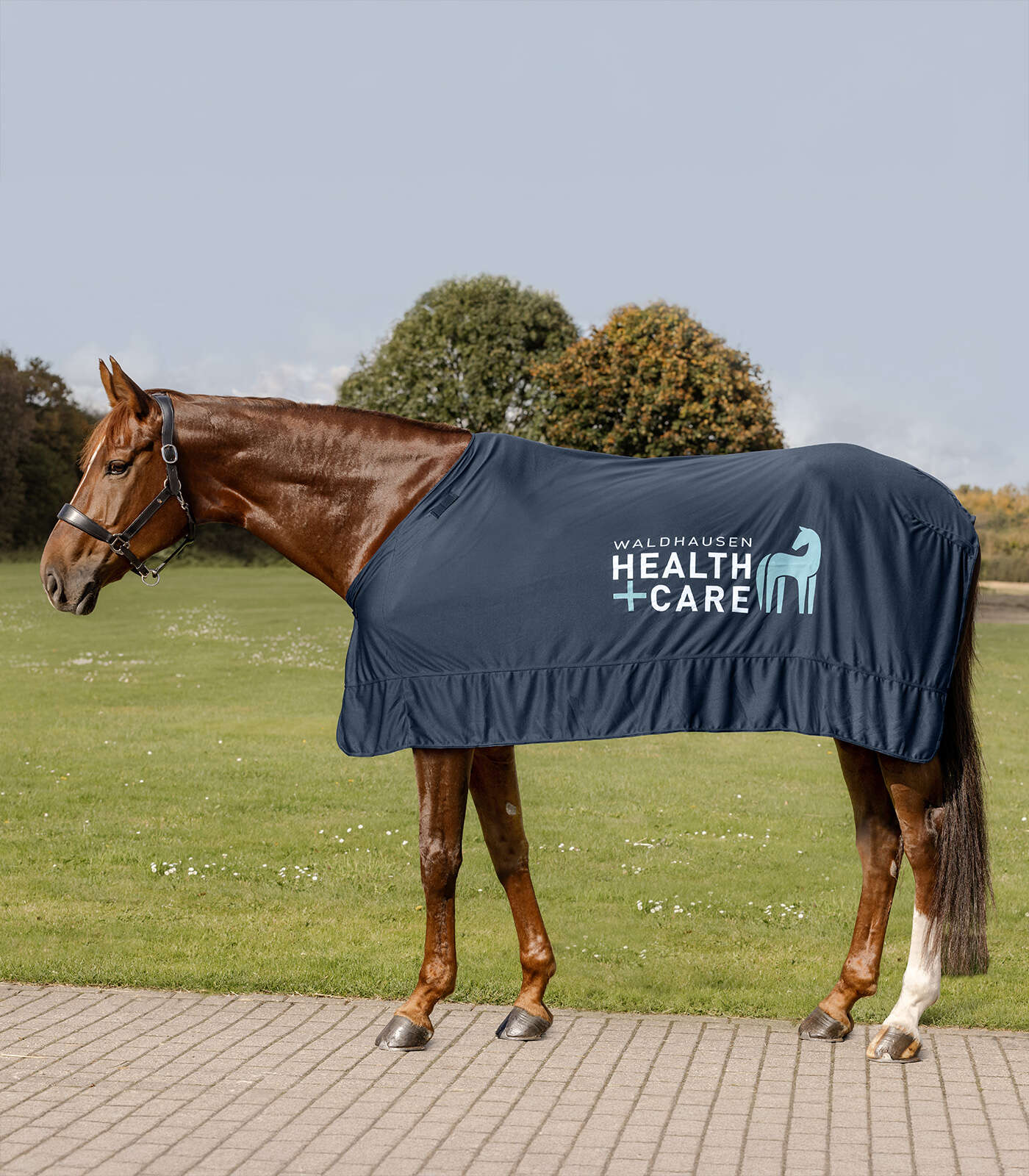 WALDHAUSEN Health + Care Ice Layer Decke