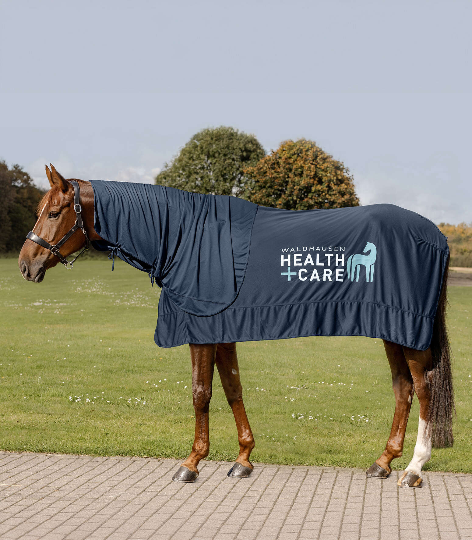 WALDHAUSEN Health + Care Ice Layer Decke
