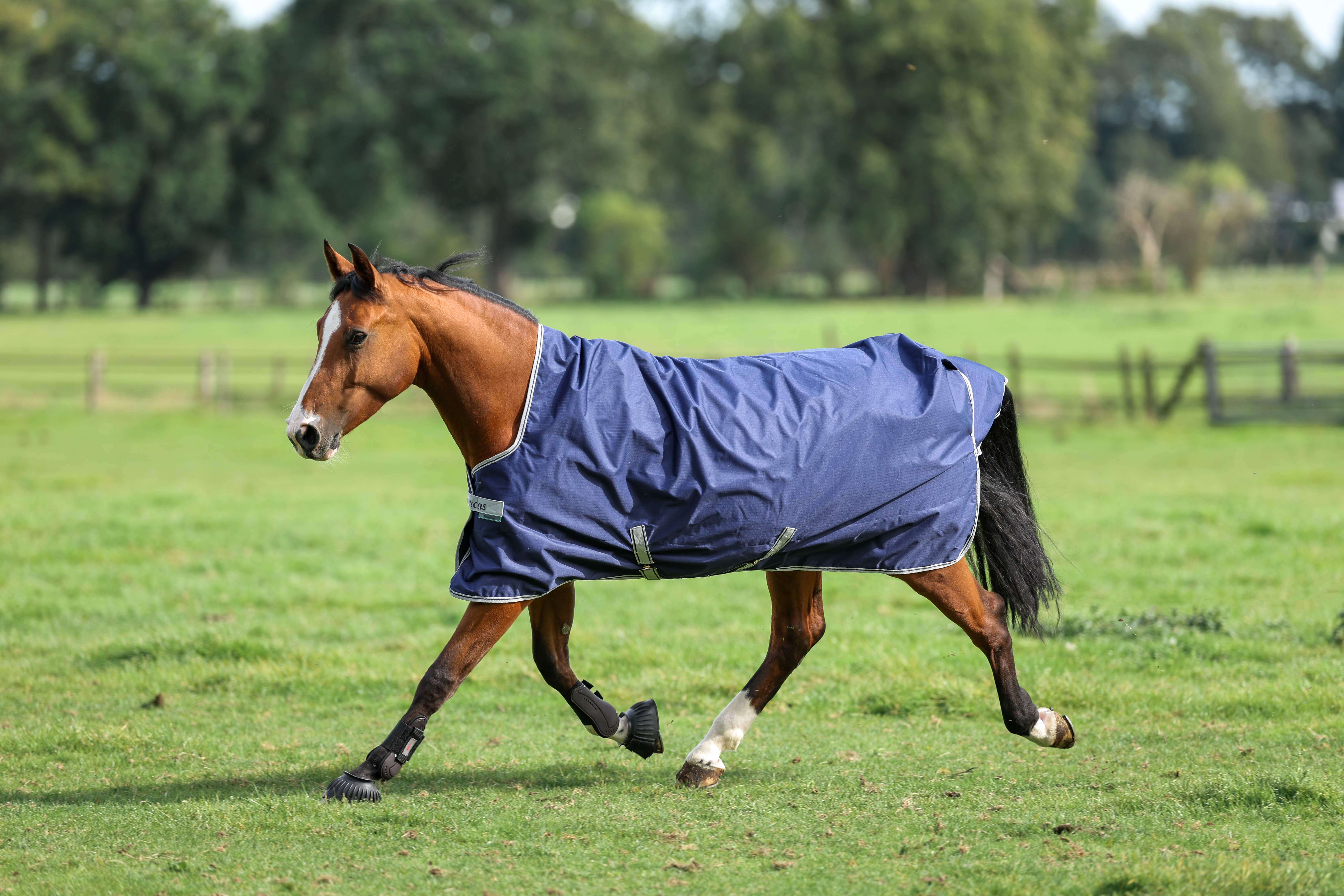 bucas Outdoordecke Freedom Turnout 300 g