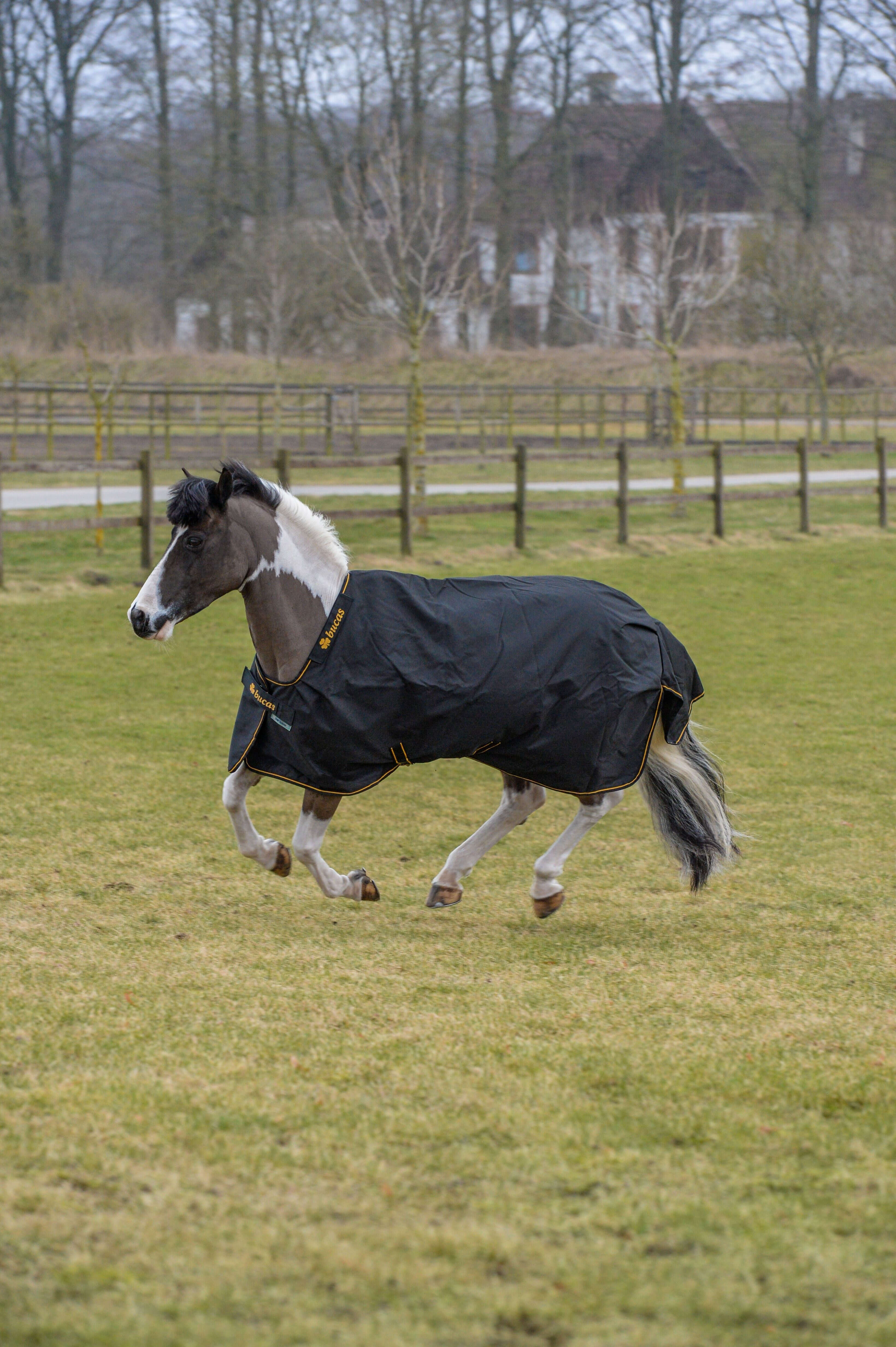 bucas Outdoordecke Irish Turnout 50 g