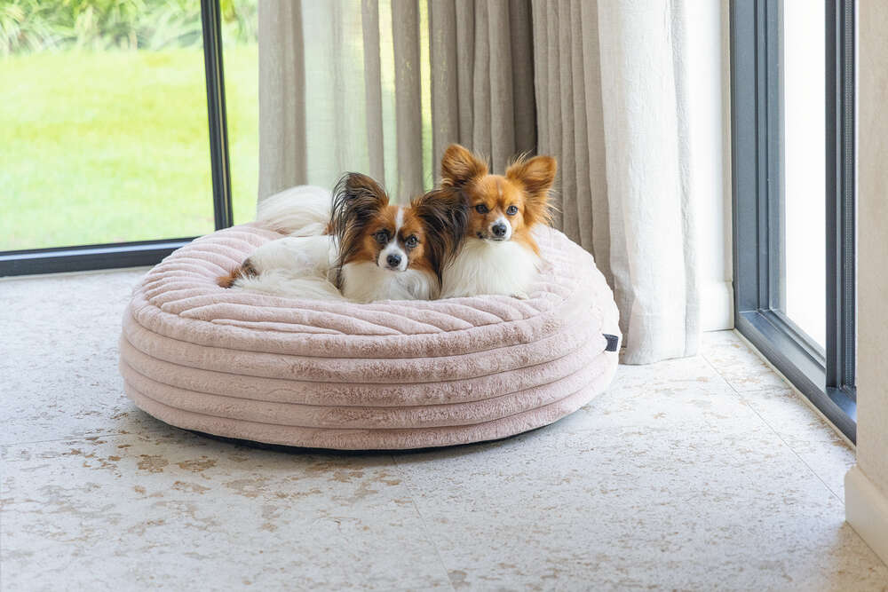 Designed by Lotte Hundekissen Reza Rund