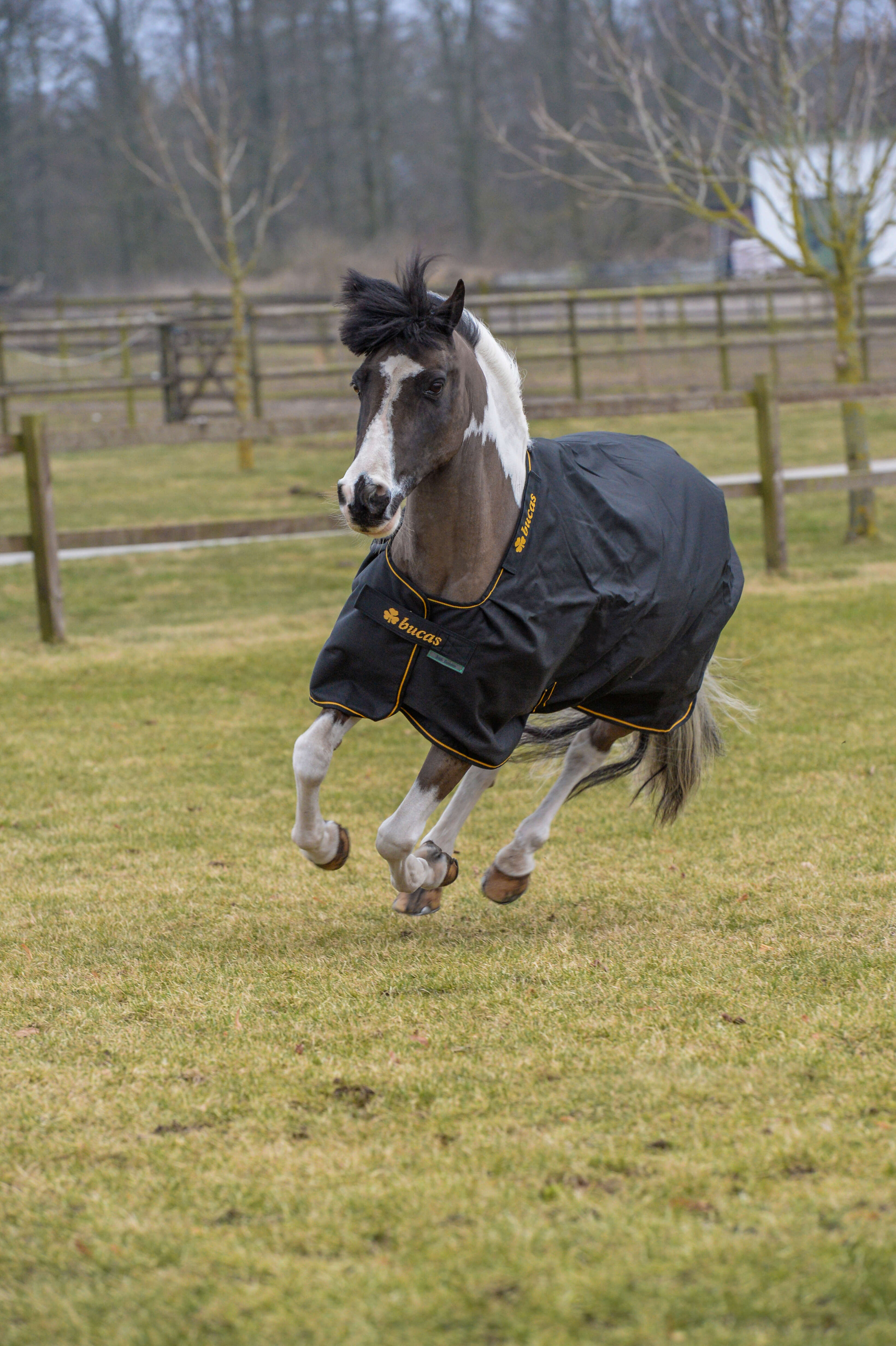 bucas Outdoordecke Irish Turnout 300 g