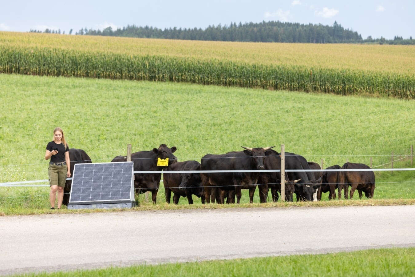 AKO Solar PowerStation XXL ohne Weidezaungerät