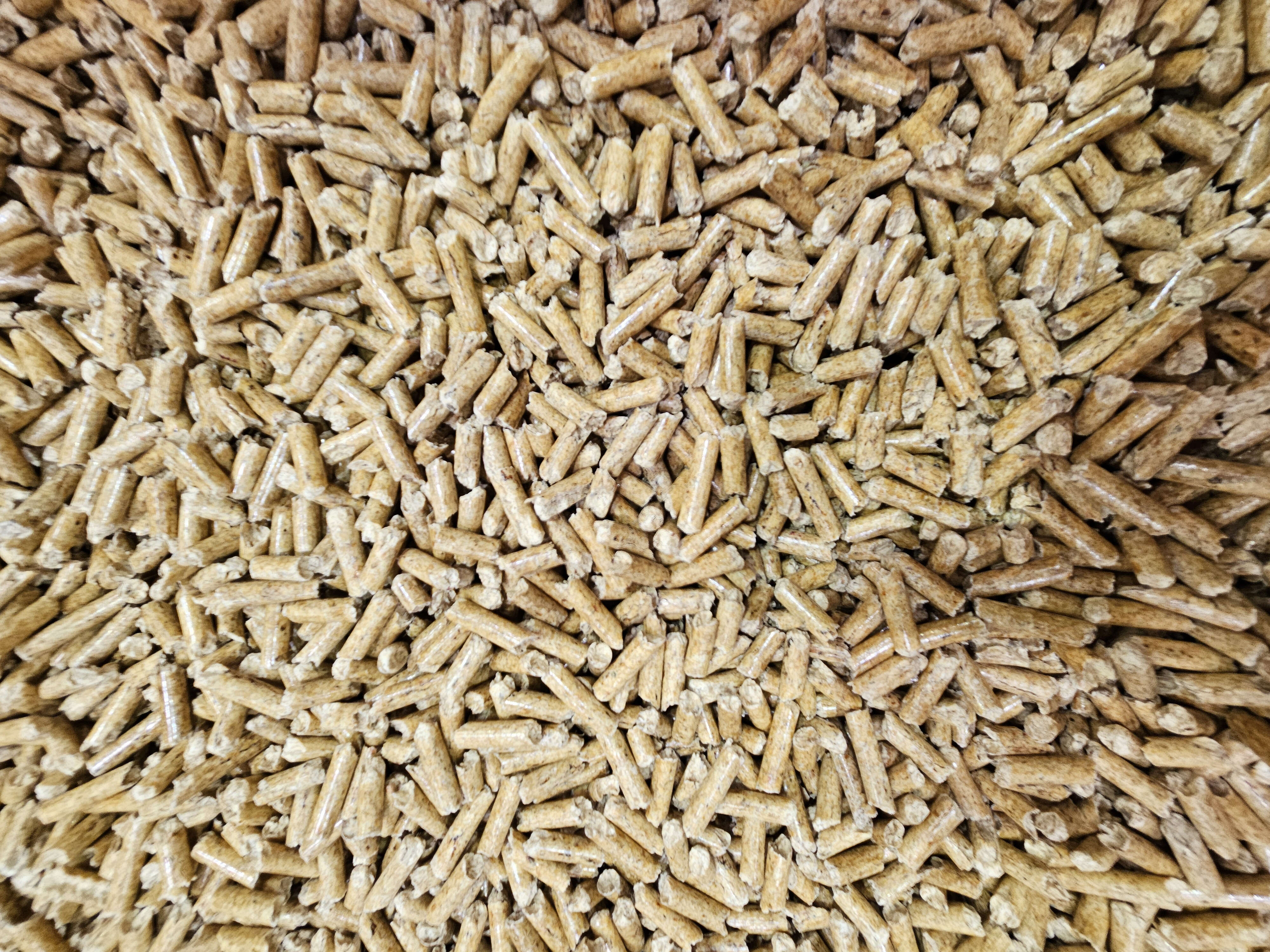 GOLDSPAN Champ Einstreu Holzpellets