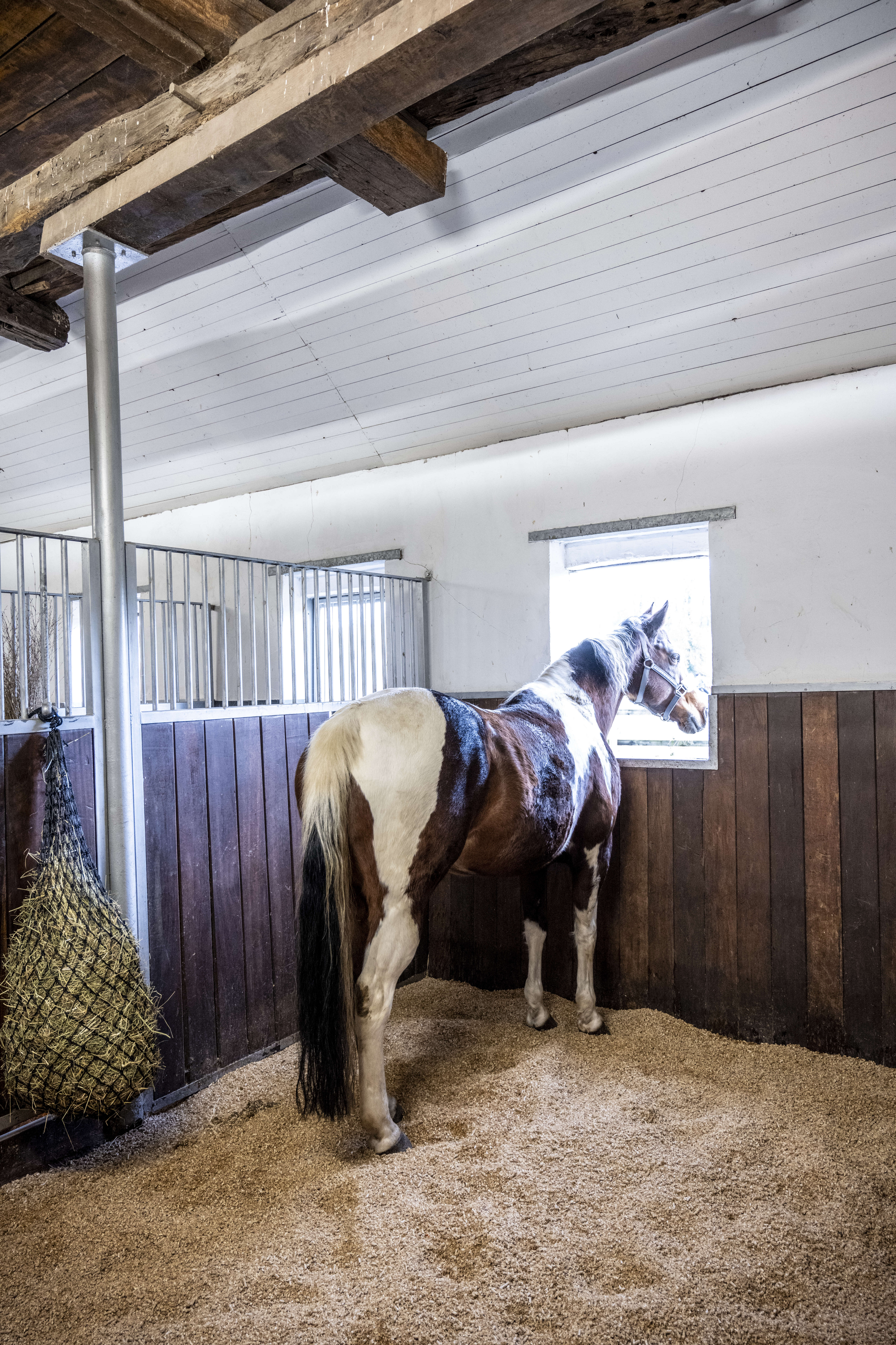 Equi-Pellets 20 kg
