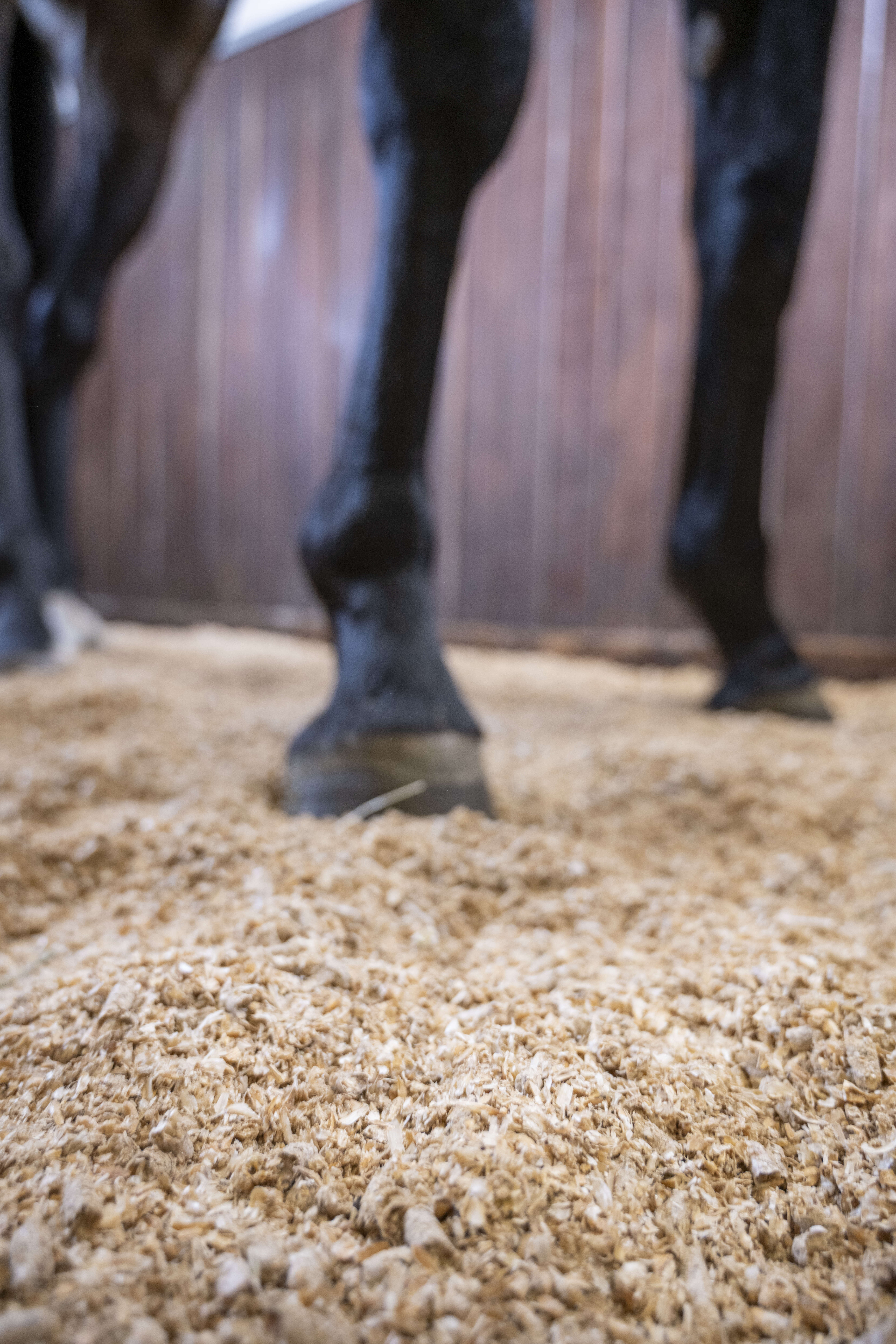 Equi-Pellets 20 kg