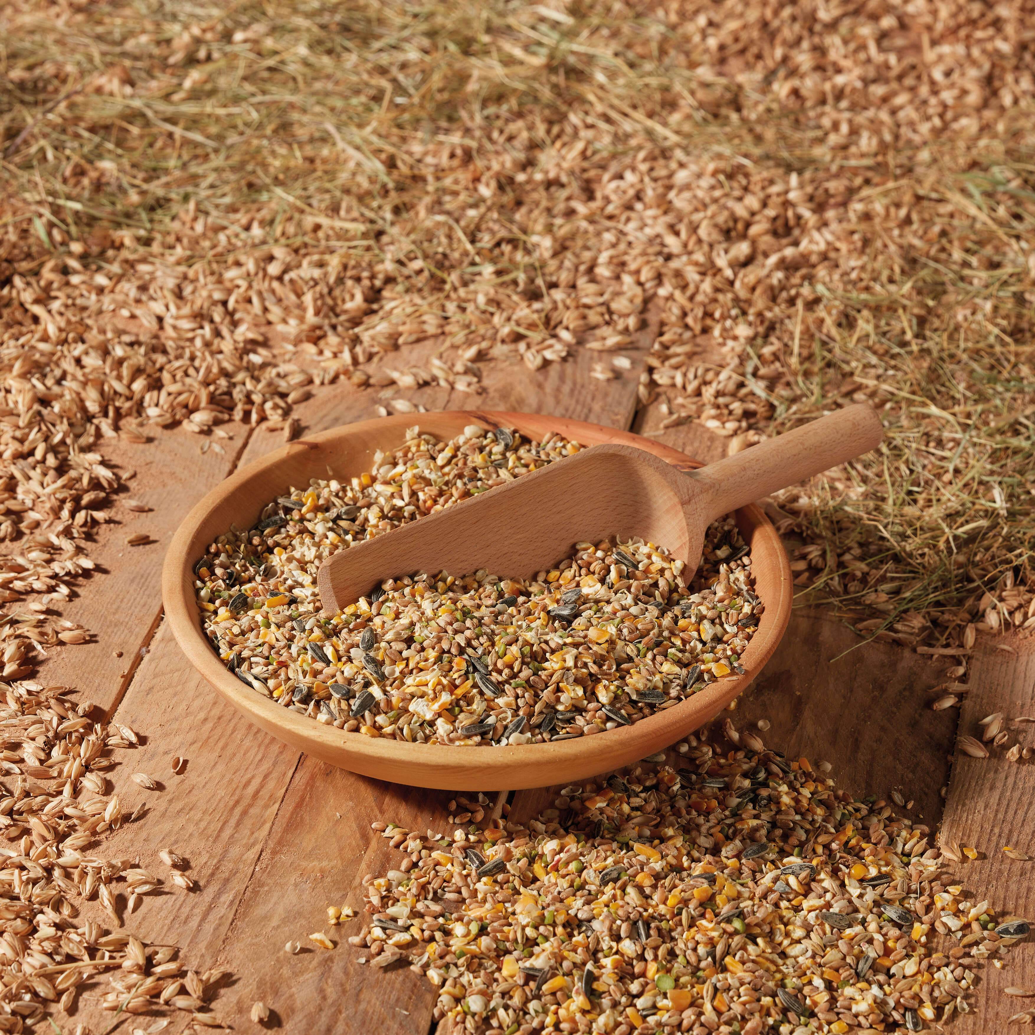 Landleben Freiland Körnerfutter Auslese