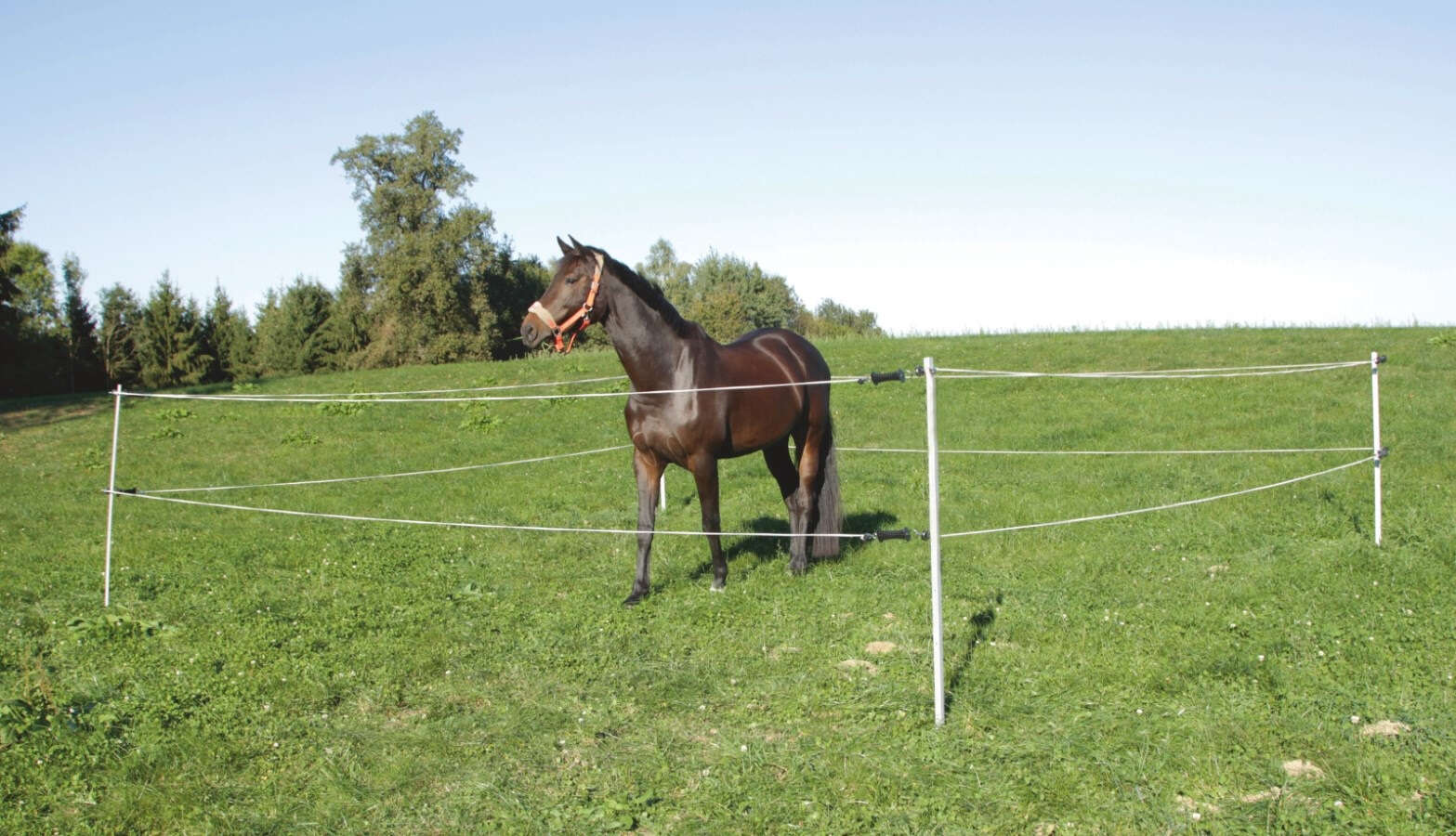 AKO Turnier-/ Paddock Zaun Set 7x7 m