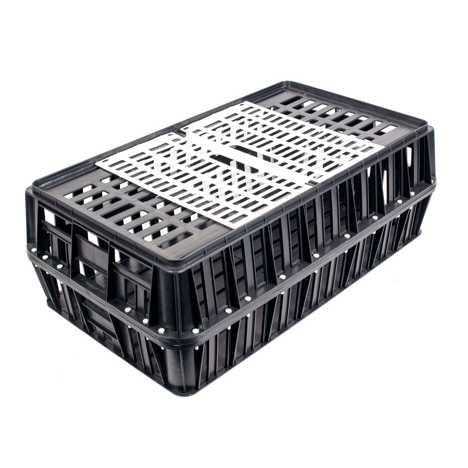 OLBA Geflügeltransportbox