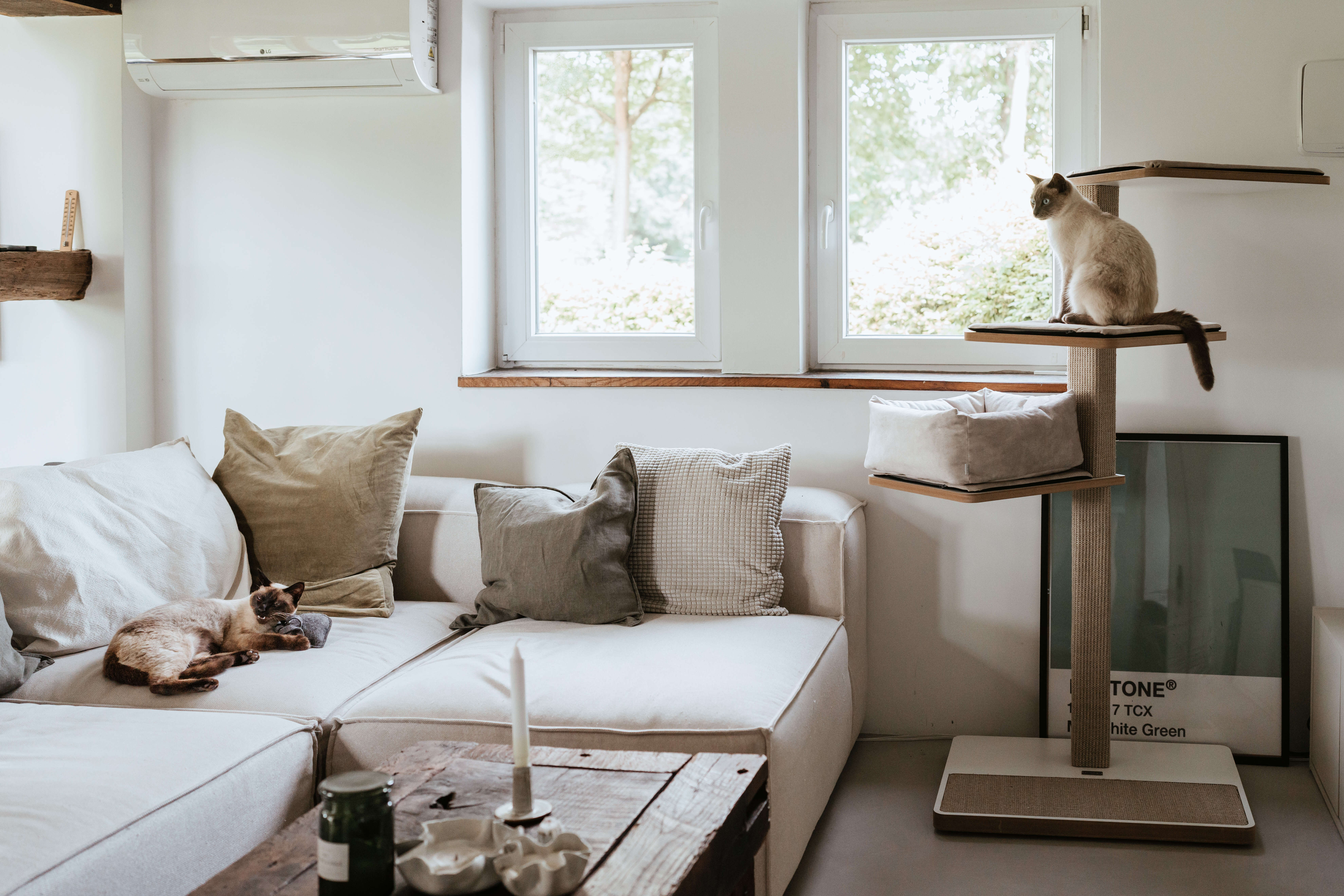 stylecats Kratzbaum Owen mit Sisal